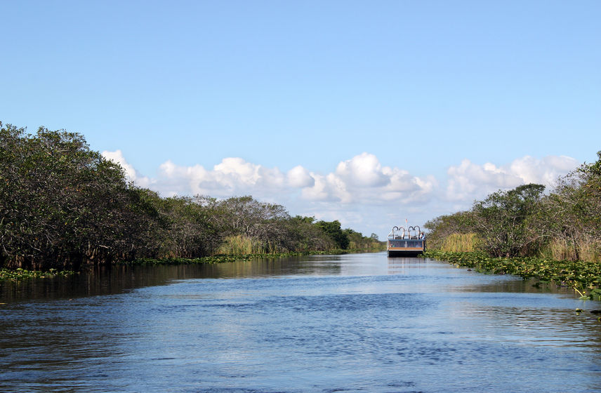 Private Florida Everglades Airboat Ride and Wildlife Adventure